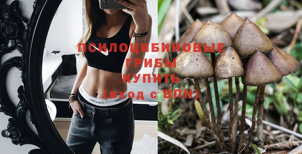 эйфоретик Кинешма